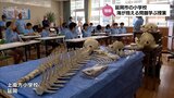 クジラやイルカの骨格標本や落語を通して　延岡市の小学校で海が抱える問題について学ぶ授業　|　MRTニュース ｜ ＭＲＴ宮崎放送