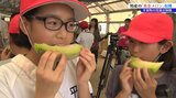 中には3キロ超えの大物も 地域が誇る特産品「黄金メロン」の収穫を地元の小学生が体験 岩手・平泉町|TBS NEWS DIG