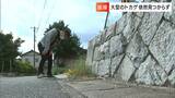 「溝を見たり、木の上を見たり」小豆島町役場近くで目撃された大型のトカゲ 未だ見つからず 住民からは不安の声【香川】|TBS NEWS DIG