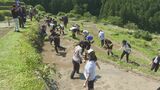 丸山千枚田　手作業で田植え　全国から約600人の家族連れらが参加|TBS NEWS DIG