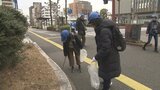 別府大分毎日マラソンのコース沿線を清掃 約1600人が参加して131袋のゴミ回収 | 大分のニュース|OBS NEWS|大分放送