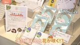 水に浸して土に植えると花が咲く！？不思議な和紙　新たな付加価値とサステナブル【SUNトピ】|TBS NEWS DIG
