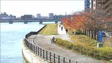 今日は『ぽかぽか陽気』で“10月並み”の気温 明日からは雨 明後日には積雪 新潟県|TBS NEWS DIG