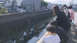 住民の取り組みで水質改善 大分市の住吉川で清掃活動 | 大分のニュース|OBS NEWS|大分放送
