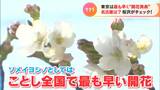 東京は全国で最も早く開花 名古屋でサクラの「開花は?」「見頃は?」 | 名古屋・愛知・岐阜・三重のニュース【CBC news】 | CBC web