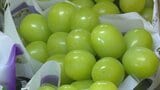 農業生産額が33年ぶりに1200億円突破 果物が過去最高の約770億円 シャインマスカットの生産量増加などが要因 山梨|TBS NEWS DIG