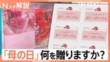 母の日ギフトは「カーネーション」より「あじさい」？“絶対失敗できない” 「義母」が検索7位に【Nスタ解説】|TBS NEWS DIG