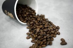 コーヒー生豆先物、アラビカ種とロブスタ種の価格差拡大－供給懸念で| TBS CROSS DIG with Bloomberg