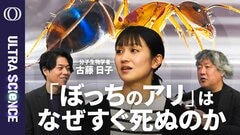 【アリに2次元コードを貼り追跡してわかったこと】300以上のコロニーを育て社会性行動を研究する古藤日子／孤立が激しい酸化ストレスを引き起こしていた／ぼっちのアリの裏返しを【ULTRA SCIENCE】| TBS CROSS DIG with Bloomberg