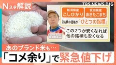 魚沼産コシヒカリも「緊急値下げ」コメ価格 7週連続で値下がり、新潟のコメ問屋の現状は？【Nスタ解説】| TBS CROSS DIG with Bloomberg