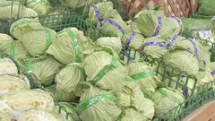 12月の野菜価格　「キャベツ」や「なす」など5品目が平年より高くなる見通し　農水省| TBS CROSS DIG with Bloomberg
