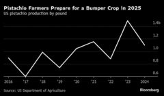 「ドバイチョコレート」が火付け役、ピスタチオ人気が世界に広がる| TBS CROSS DIG with Bloomberg