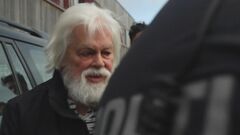 シー・シェパード元代表　来月13日まで勾留再延長| TBS CROSS DIG with Bloomberg