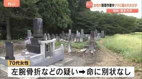 クマによる被害相次ぐ…福島・喜多方市では除草作業中の70代女性が襲われ骨折か　青森ではリンゴ畑で作業中の男性が襲われるもパンチで撃退|TBS NEWS DIG