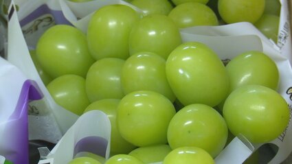 農業生産額が33年ぶりに1200億円突破 果物が過去最高の約770億円