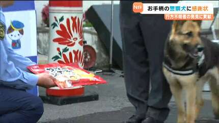 お手柄警察犬ジャーマンシェパードのご褒美は「ドッグフード」山岳遭難