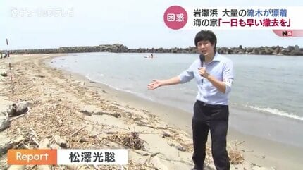 人の手ではどうにもできない」海開きの海水浴場に大量の流木が…地元