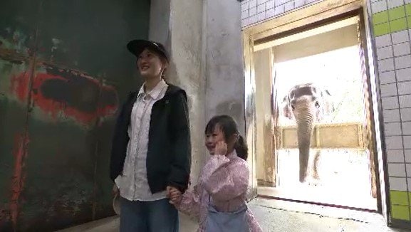 8月12日は「世界ゾウの日」長野市の茶臼山動物園で餌やり体験「ゾウを間近で見て、ゾウを知るきっかけになれば…」　|　SBC NEWS | 長野のニュース | SBC信越放送