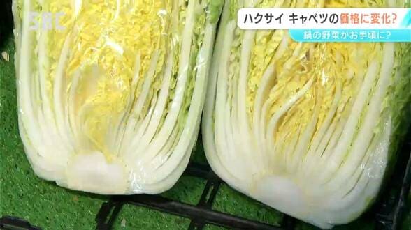 鍋シーズン到来！「最高にありがたい！」ネギに、白菜…鍋に欠かせないキニナル野菜の価格は？　|　SBC NEWS | 長野のニュース | SBC信越放送