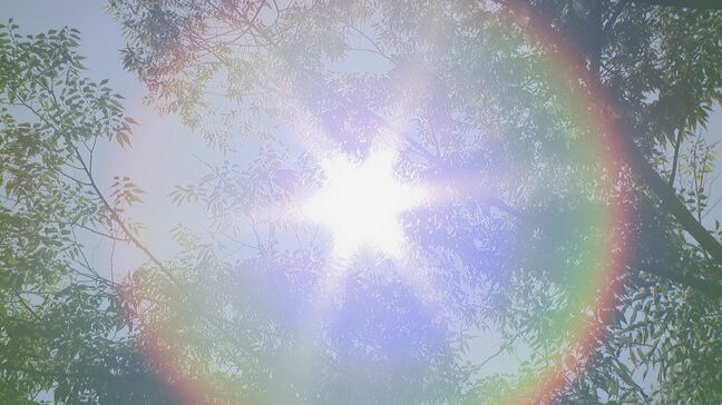 【速報】愛知では熱中症の疑いで59人が救急搬送うち2人重症 岐阜県26人搬送2人重症 三重県14人搬送1人重症 |TBS NEWS DIG