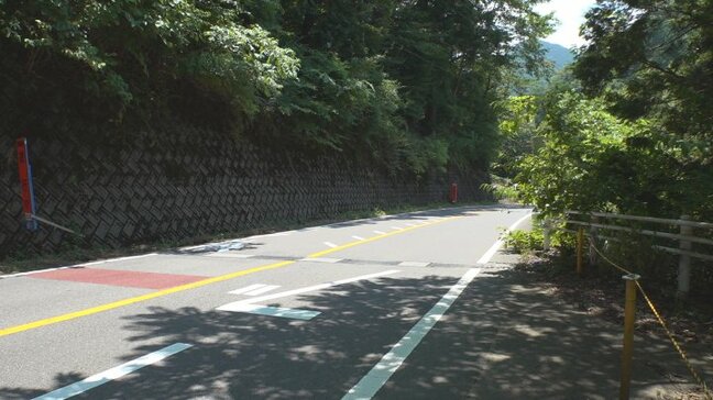 相模原市の男子高校生が死亡 原付バイクがカーブで転倒、対向のトラックと衝突 山梨・道志村の国道413号|TBS NEWS DIG
