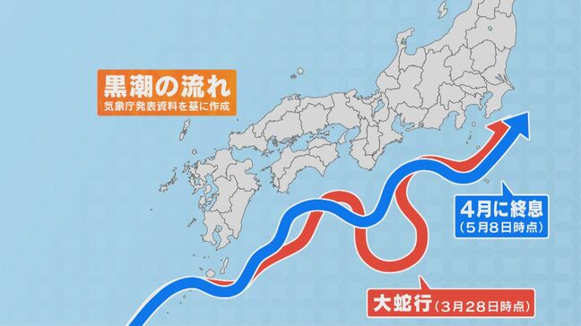 三重の海で進む“砂漠化” アワビやサザエが姿を消した… ｢黒潮大蛇行｣終息で海は変わるのか？|TBS NEWS DIG