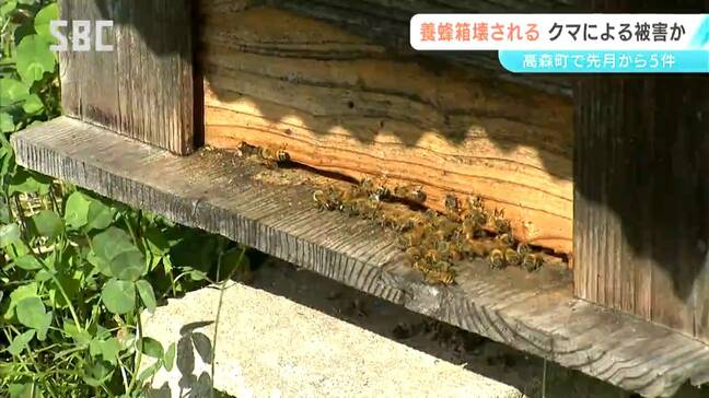 クマに荒らされたか 養蜂箱の被害が相次ぐ 高森町の養蜂場 猟友会がおりを設置 町が住民に注意呼びかけ|TBS NEWS DIG