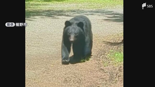【動画あり】静岡県裾野市でクマの目撃相次ぐ 2日連続で目撃されたクマは別々の個体か|TBS NEWS DIG