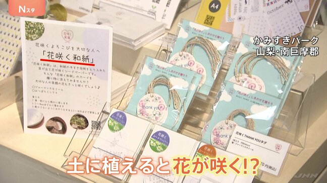水に浸して土に植えると花が咲く!?不思議な和紙 新たな付加価値とサステナブル【SUNトピ】|TBS NEWS DIG