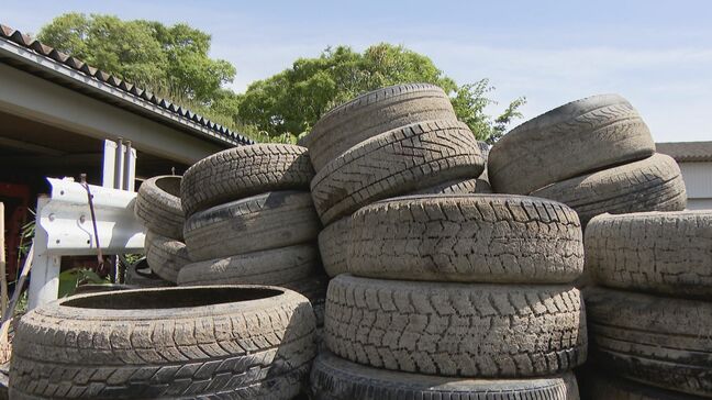 誰が何のために？川に大量のタイヤが不法投棄  ホイールが外されゴム部分だけ･･･遠く離れた新潟でも　名古屋･中川区　荒子川|TBS NEWS DIG