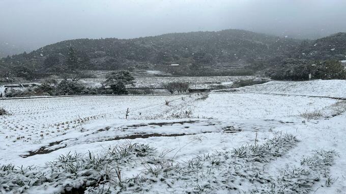 22日夕方にかけて大雪に注意・警戒　13地点で今季最低気温　|　長崎のニュース | 天気 | NBC長崎放送