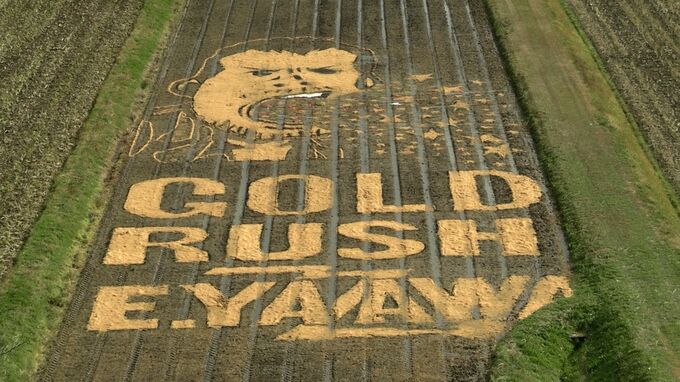 “永ちゃん田んぼ” 稲刈りのあとに現れたのはもみ殻アートの新作　「ゴールドラッシュ」のジャケットで金運もアップか【岡山・美作市】　|　岡山・香川のニュース | 天気 | RSK山陽放送