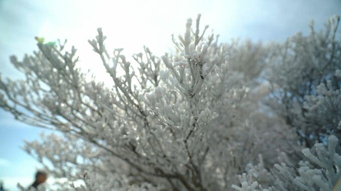 10年に一度レベルの寒波　九州北部で警報級の大雪となるおそれ　路面凍結による交通障害などに注意　|　大分のニュース｜OBS NEWS｜大分放送