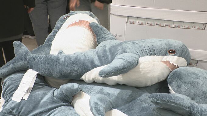 IKEAのポップアップストアに行列 イオンモール白山ではじまる　|　石川県のニュース｜MRO北陸放送