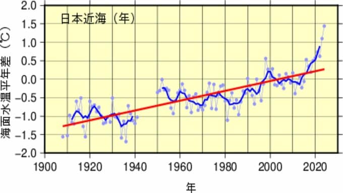 日本近海の2024年の年平均海面水温が過去最高を更新　平年差+1.44℃で2023年の+1.10℃を大きく上回る　水産資源など海洋環境にも影響か|TBS NEWS DIG