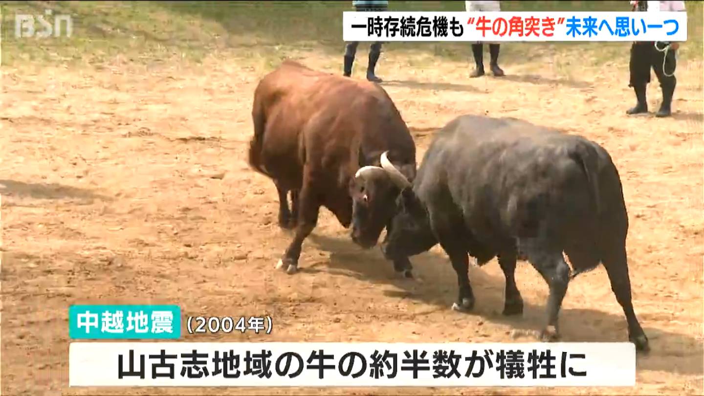 img_9a8dc92038ed1ee0cf9654f73c