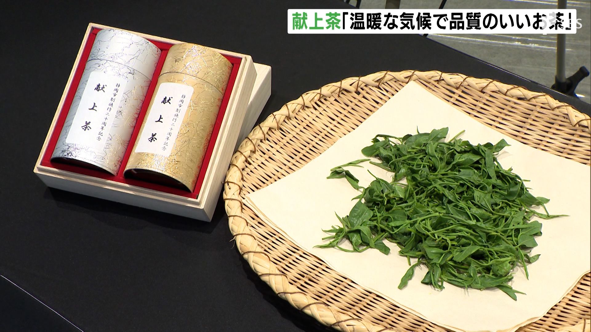 「温暖な気候に恵まれ非常に品質のいいお茶ができた」 皇室献上茶を披露する記念式典を開催 =静岡県静岡市 | TBS NEWS DIG