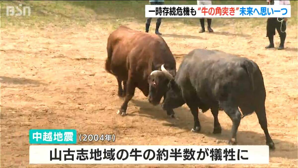 中越地震から20年 全国闘牛サミットに合わせ記念大会 新潟・長岡市