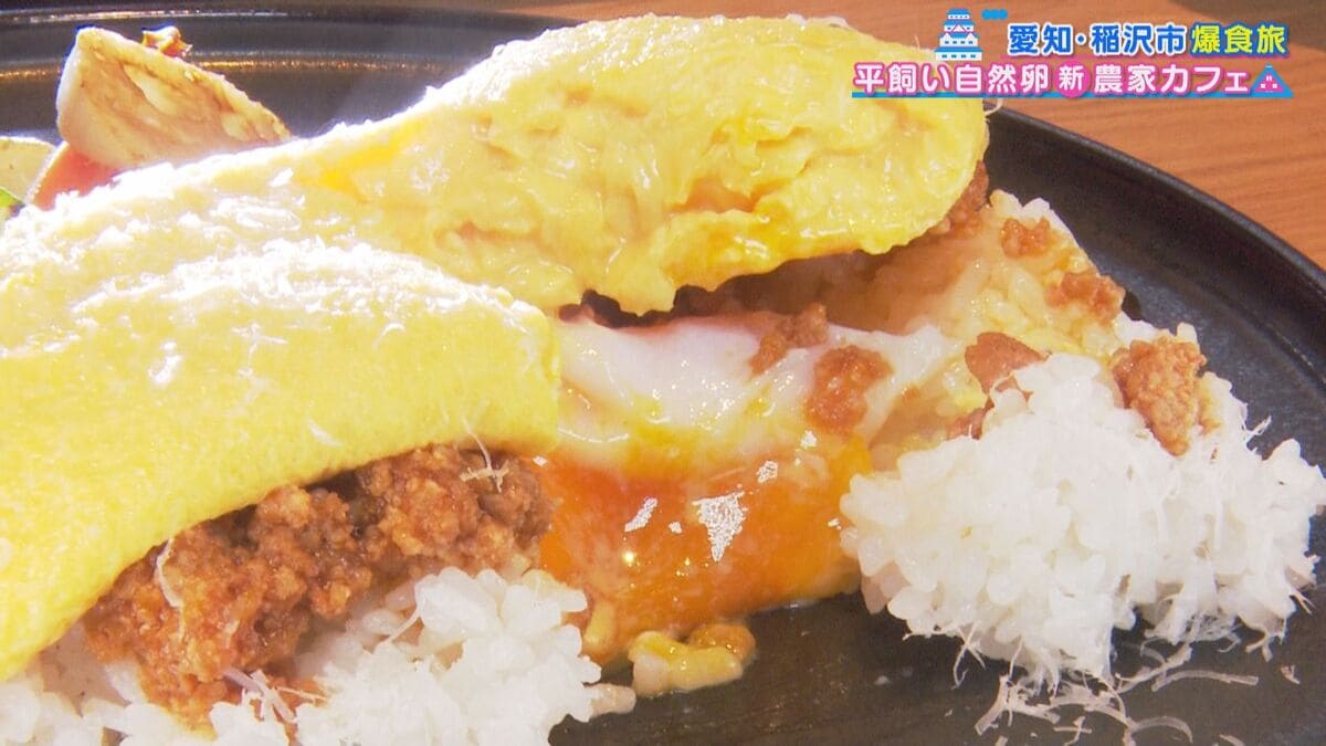 ミシュランガイド掲載店が監修！“自然卵”を使った絶品料理とは？人気の創作銀杏会席も！愛知・稲沢市のオススメスポットをご紹介