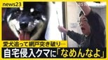 防犯カメラにクマ襲撃の瞬間 住宅街などで4人襲い福島市の工場内に居座る 相次ぐ“クマ被害” 岩手・自宅侵入のクマに「なめんなよ」【news23】|TBS NEWS DIG