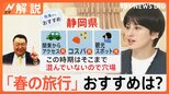 「春の旅行」おすすめスポットは そこまで混んでいない?穴場は…天気次第で行ける県【Nスタ解説】|TBS NEWS DIG