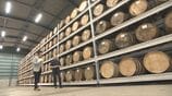 ウイスキー造り広がる　日本産は世界で争奪戦に…価格の高騰続く　世界に挑む酒蔵の新たな一手　|　大分のニュース｜OBS NEWS｜大分放送