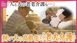 人もイヌも進む“高齢化”　飼い主が先に亡くなるケースも　人とペットの“老老介護”　　年老いた犬の介護の現実　「15年先まで責任持って飼えるのか」飼い主にも問われる課題|TBS NEWS DIG