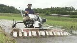 丸1日かかる田んぼの除草がたった2時間で⁉ 米どころ北杜市で乗って動かす除草機実演会|TBS NEWS DIG