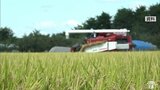 稲刈り早いペースで進む 青森県全体で進ちょく率「25%」平年を20ポイント上回る|TBS NEWS DIG