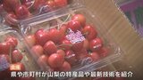全国から旅行業者900人が参加 国内観光フォーラム 山梨県内では初の開催 | 山梨のニュース | UTYテレビ山梨