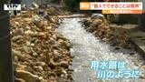 【山形大雨】「個人できることには限界」 地区の用水路は水が溢れ川のように 災害ごみの仮置き場では新たな課題も(新庄市) | 山形のニュース│TUYテレビユー山形