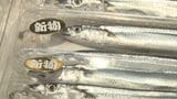 「庶民の魚じゃなくなった」去年の安値から一転、サンマ1尾約400円と高値に…なぜ？「ひとつは海洋環境の変化」　|　BSSニュース | BSS山陰放送
