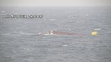 隠岐諸島沖で韓国漁船転覆　乗組員１人不明　捜索するも手掛かり見つからず　海上保安庁の巡視船による捜索を終了　|　BSSニュース | BSS山陰放送