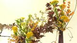 「見ていてすごく楽しくなりました」秋感じさせる生け花、27流派約360点並ぶ　静岡県華道展開幕=静岡市　|　静岡のニュース | SBSNEWS | 静岡放送